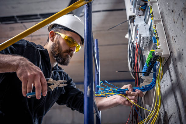 Best Electrical Contractors for Businesses  in Federal Y, WA