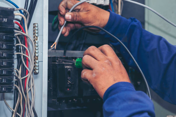 Best Electrical Repair Services  in Federal Y, WA