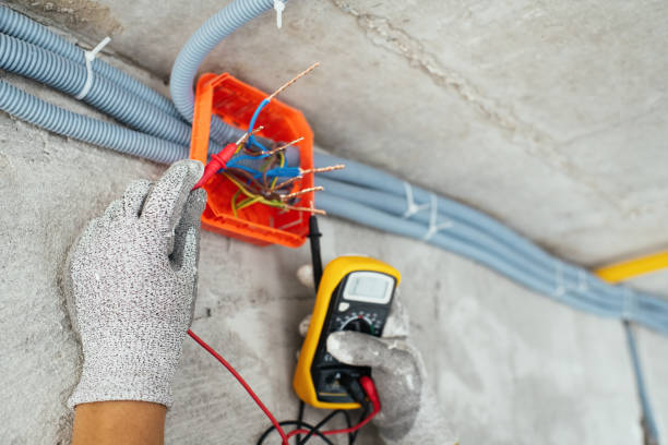Best Electric Panel Repair  in Federal Y, WA